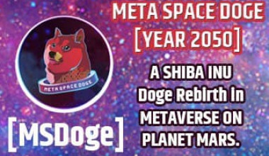 Meta Space Doge