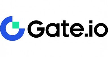 gate IO