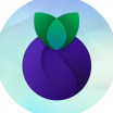 Blueberry Protocol Testnet