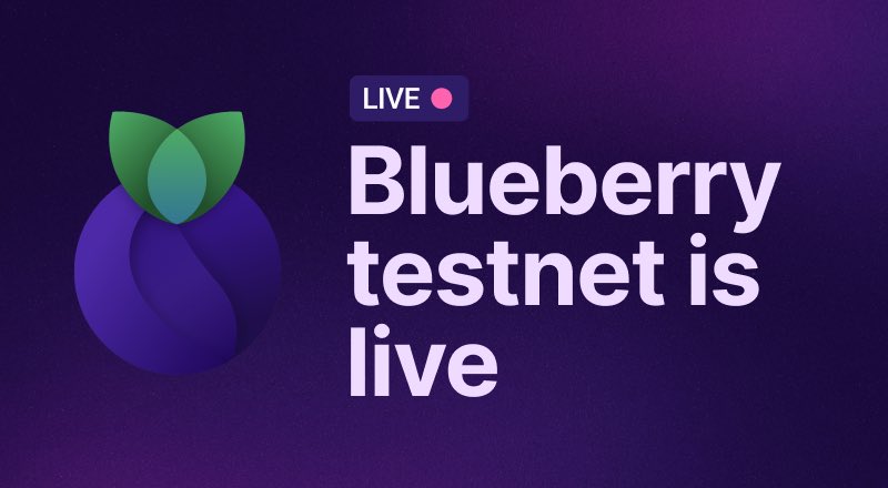 Blueberry Protocol Testnet banner