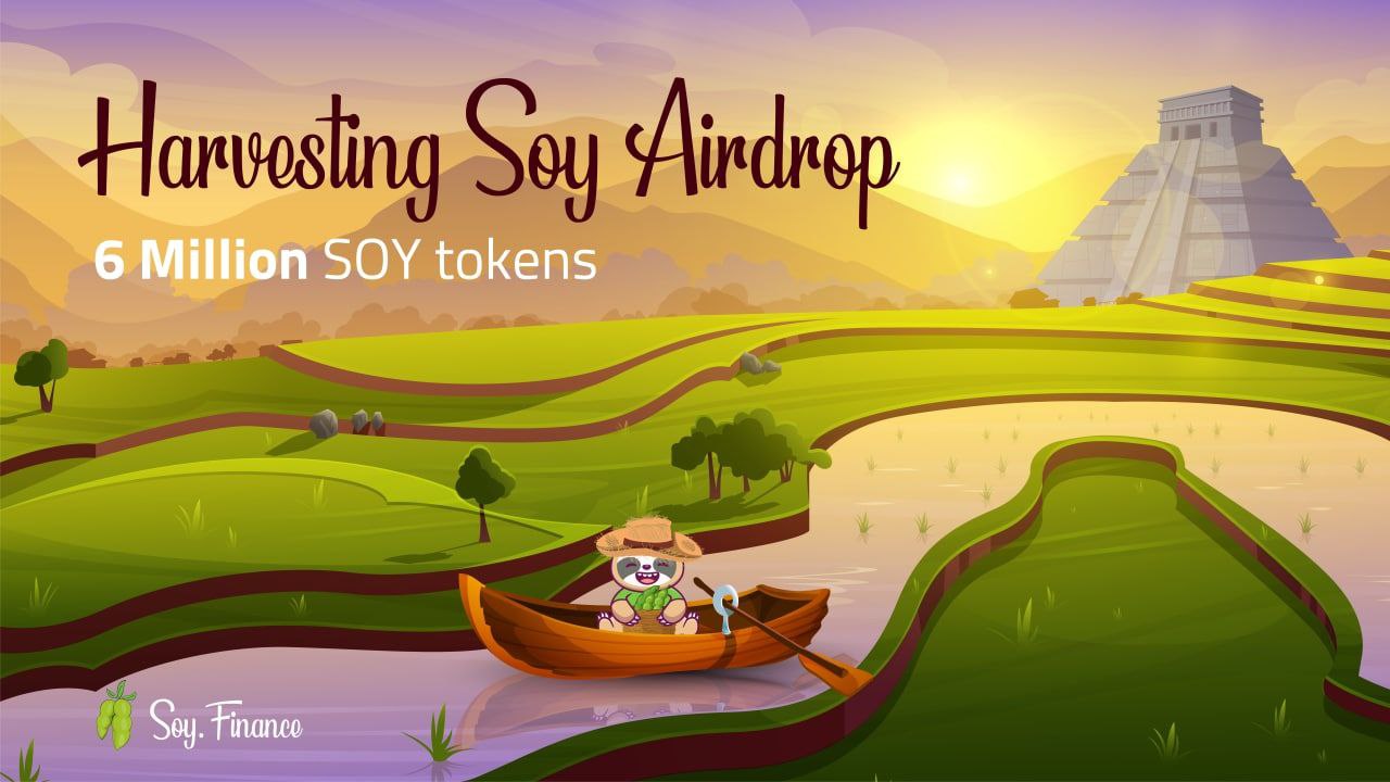 Soy Finance banner