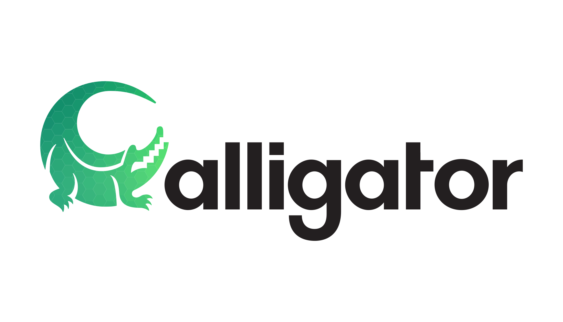 Alligator banner