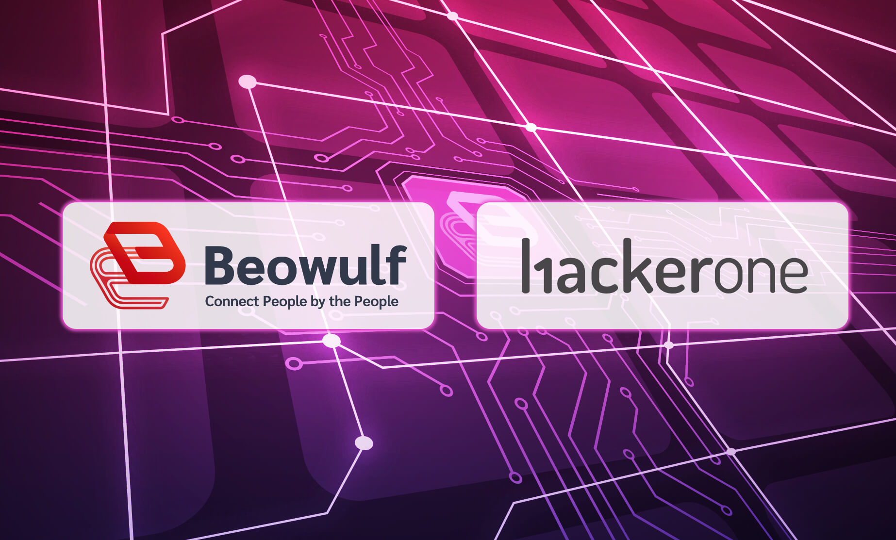 $100,000 bounty to hack Beowulf banner