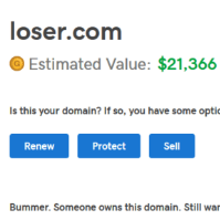 Loser.com sold for over $21,000