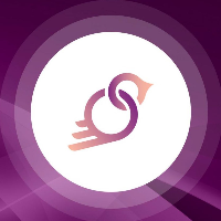 Previous Airdrop Birdchain now traded on P2PB2B